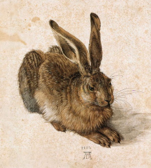 Durer_Young_Hare300.jpg