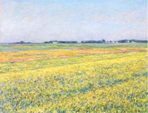 カイユボットジュヌヴィリエの平野、黄色い畑.jpg