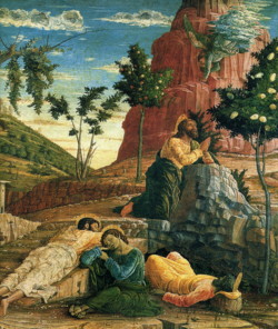 Mantegna2.JPG