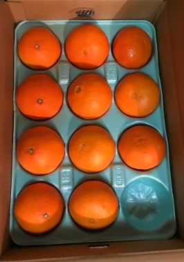 orange12.jpg